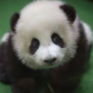 Meet your Posher, Raelyn